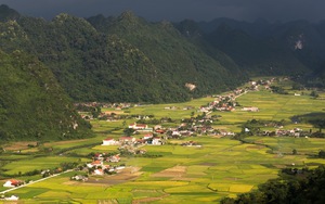 Bắc Sơn mùa lúa chín đẹp lung linh. Đi ngay kẻo lỡ