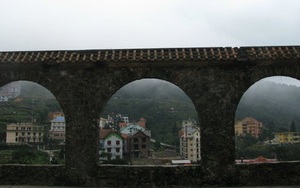 Vì sao nhiều người thích đi Tam Đảo?