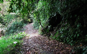 Khám phá hang động hoang sơ nhất miền Bắc, người Việt chưa từng vào