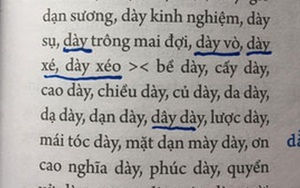 Vì sao 'Từ điển chính tả tiếng Việt' của PGS Hà Quang Năng bị đình chỉ phát hành?