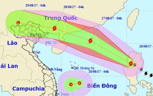 Tin mới nhất về cơn bão số 7