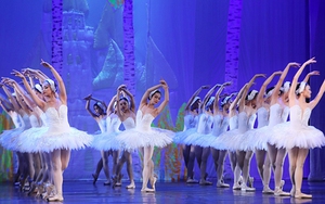 Nghệ sĩ múa Lê Ngọc Văn: Dựng được 'Hồ thiên nga' là tham vọng nghệ thuật lớn với mọi đoàn múa