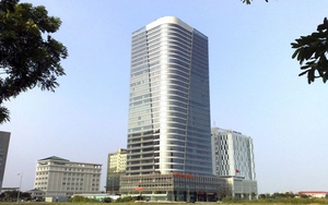 Truy tố Chủ tịch Hội đồng quản trị Petroland Bùi Minh Chính và đồng phạm