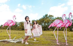 Đạo diễn Nguyễn Hưng Phúc: Tổ chức Pink Garden Show cho thiếu nhi dịp Trung thu