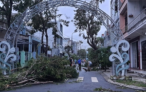 Khắc phục hậu quả bão số 9: Bộ Quốc phòng tăng cường lực lượng, phương tiện giúp các địa phương