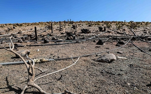 GEMMES Việt Nam: Tìm chiến lược thích ứng để đối mặt với biến đổi khí hậu