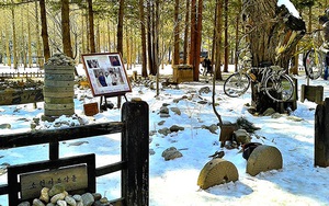 Du lịch Hàn Quốc tháng 12 - khám phá xứ sở Kim Chi mùa tuyết trắng