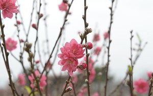 Tản mạn: Lan man về địa danh