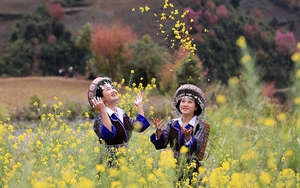 Mù Cang Chải đẹp như tranh vẽ với những đồi hoa nở rực rỡ