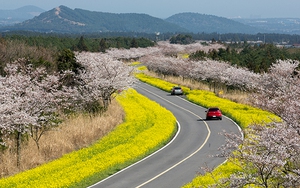 Hàn Quốc: Bỏ quy định cách ly với người nhập cảnh tiêm đủ liều vaccine từ 1/4