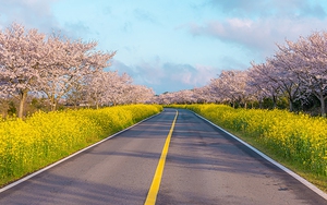 Cuộc thi vẽ minh hoạ với chủ đề 'Từ nét vẽ, đến Jeju'