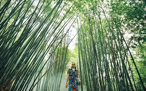 Show thời trang trong rừng tre giới thiệu BST mới của NTK Đỗ Mạnh Cường