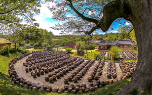 Từ 1/6 Hàn Quốc chính thức cấp trở lại visa du lịch