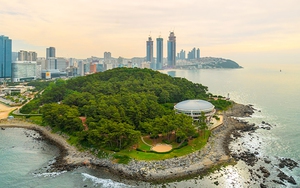 Cục Xúc tiến Du lịch Busan: Việt Nam là thị trường mục tiêu của các đơn vị lữ hành