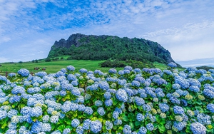 Hàn Quốc bỏ yêu cầu xét nghiệm Covid-19 sau khi nhập cảnh từ hôm nay