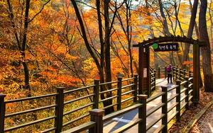 KTO tại Việt Nam thông tin về chính sách miễn visa khi nhập cảnh tại sân bay Yangyang