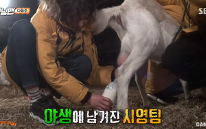 Running man tập 430: Khó khăn nối tiếp khó khăn