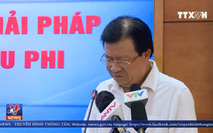 VIDEO: Xử lý nghiêm địa phương để xác lợn bệnh trôi đầy sông