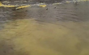 Gần 2.400 người Malaysia nhập viện do ngộ độc hóa chất - Bắt giữ 3 đối tượng xả thải trái phép