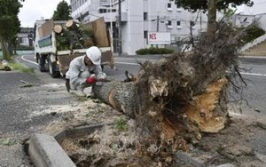 Bão Krosa tiếp tục hoành hành tại Nhật Bản