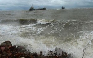 Hong Kong (Trung Quốc) chuẩn bị đối phó siêu bão Mangkhut