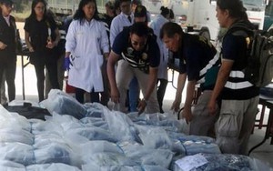 Một hành khách Nhật Bản tử vong do nuốt gần 250 gói cocaine