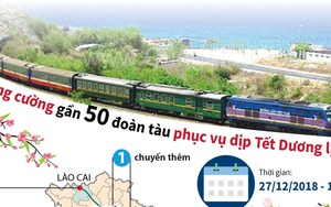 ĐỒ HỌA: Tăng cường gần 50 đoàn tàu phục vụ dịp Tết Dương lịch 2019