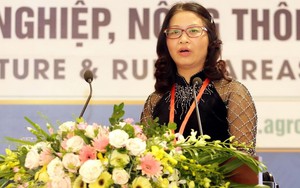 Giáo sư, Tiến sỹ Nguyễn Thị Lan nhận Giải thưởng Kovalevskaia năm 2018