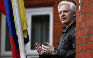 Vụ bắt nhà sáng lập WikiLeaks: Các chuyên gia LHQ chỉ trích mức án 'bất hợp lý'