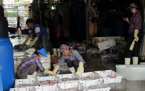 Khởi tố bị can, bắt Hưng 'kính' trong vụ bảo kê chợ Long Biên