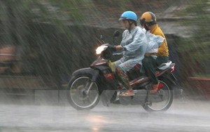 Thời tiết ngày 19/2: Bắc Bộ có mưa, sương mù, trời chuyển lạnh