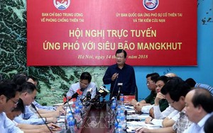 Phó Thủ tướng Trịnh Đình Dũng: Chủ động ứng phó siêu bão Mangkhut, đảm bảo an toàn tính mạng và tài sản của nhân dân