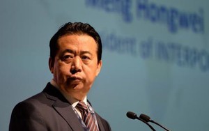 Thông tin của Interpol về vụ việc Chủ tịch Mạnh Hoàng Vĩ 'nghi mất tích'