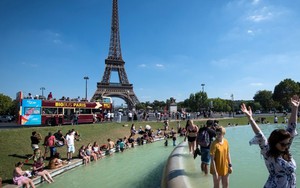 Biến đổi khí hậu: Thế giới trải qua tháng 7 nóng nhất trong lịch sử