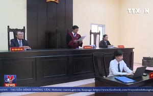 Tuyên án vụ kiện 'Thần đồng Đất Việt': Họa sĩ Lê Linh là tác giả của bộ truyện tranh