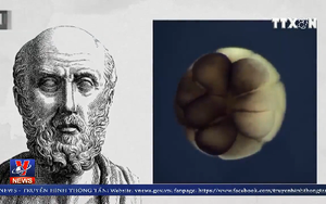 Nghiên cứu ADN tế bào đơn lẻ là đột phá khoa học năm 2018