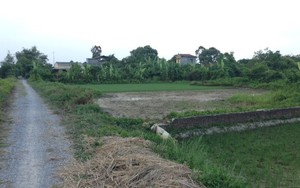 Hưng Yên: Hơn 20 cán bộ xã Lạc Đạo lĩnh án tù vì bán đất trái thẩm quyền