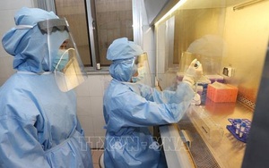 Chính phủ Mỹ tiết lộ chi tiết nghiên cứu tia cực tím tiêu diệt virus SARS-CoV-2