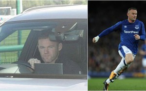 Wayne Rooney bị cảnh sát bắt vì lái xe trong lúc say xỉn