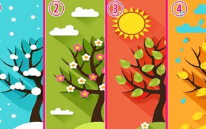 Chọn hình ảnh bạn ấn tượng nhất để khám phá nét tính cách độc đáo của bạn