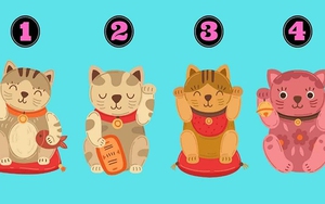 Con mèo bạn thích nhất trong bức tranh sẽ tiết lộ bạn là người như thế nào