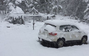 VIDEO: Tuyết phủ trắng xóa giữa mùa hè tại Nga