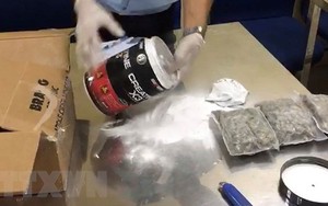 TP.HCM triệt phá đường dây vận chuyển 57kg cần sa từ Mỹ về Việt Nam