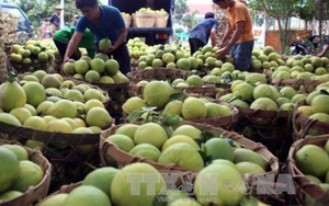 Vụ 'bảo kê' chợ Long Biên (Hà Nội): Sẽ không để chìm xuồng