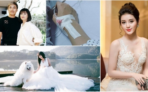 Showbiz 'hot' trong ngày: Kiều Minh Tuấn nói yêu An Nguy; Á hậu Huyền My nhập viện?