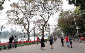 Thời tiết cả 3 miền thuận lợi du Xuân chúc Tết