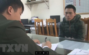 Tạm giữ hình sự đối tượng loan tin sai sự thật về thịt lợn nhiễm sán ở Bắc Ninh