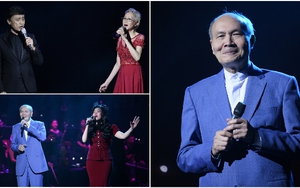 Ngọc Châm được ưu ái không kém danh ca Thái Hiền, Tuấn Ngọc khi hát nhạc Vũ Thành An