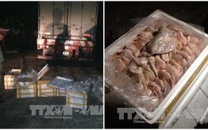 Hơn 1 tấn tai lợn ôi thiu vừa bị bắt giữ trên đường vận chuyển