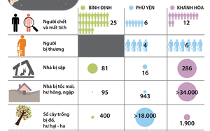 Đồ họa: Những con số thiệt hại do bão số 12